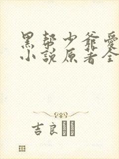 黑帮少爷爱上我小说原著全文