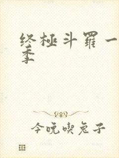 终极斗罗一共几季