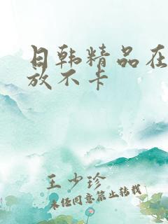 日韩精品在线播放不卡