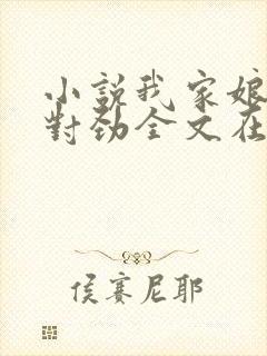 小说我家娘子不对劲全文在线阅读