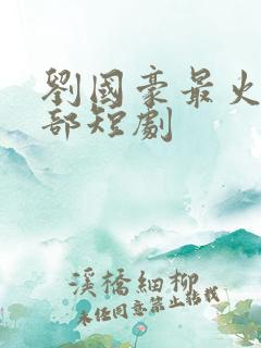 刘国豪最火的5部短剧