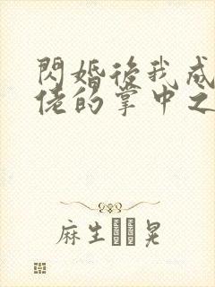 闪婚后我成了大佬的掌中之物啊