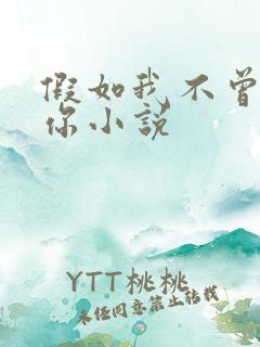 假如我不曾爱过你小说