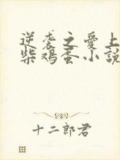 逆袭之爱上情敌柴鸡蛋小说免费阅读全文在线