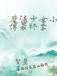 魔法少女小圆外传最终季