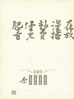 肥仔动漫在线观看免费播放