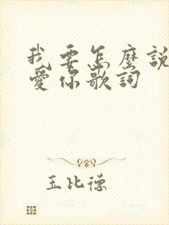 我要怎么说我不爱你歌词