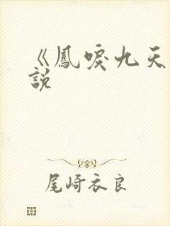 《凤唳九天》小说