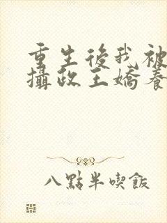 重生后我被反派摄政王娇养了