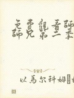 免费观看师兄啊师兄第二季动漫全集