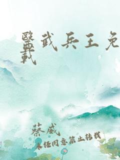 医武兵王免费下载