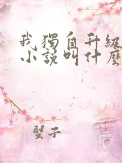 我独自升级原著小说叫什么