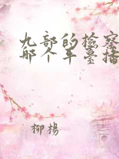 九部的检察官在哪个平台播放