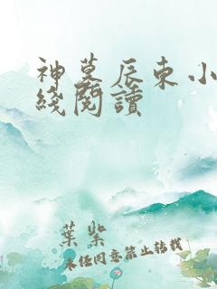 神墓辰东小说在线阅读