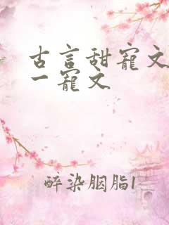 古言甜宠文一对一宠文