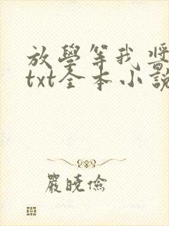 放学等我酱子贝txt全本小说