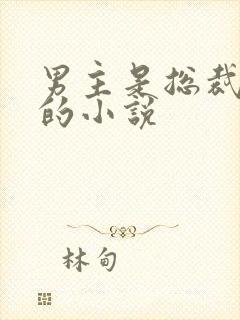 男主是总裁姓盛的小说