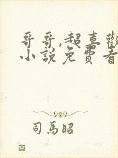 哥哥,超喜欢你小说免费看