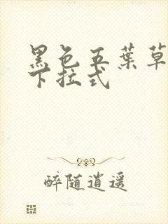 黑色五叶草漫画下拉式