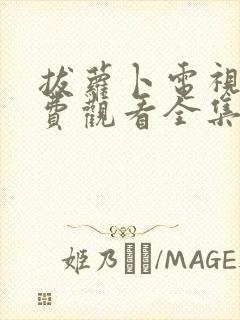 拔萝卜电视剧免费观看全集在线