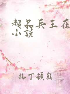 超品兵王在都市小说