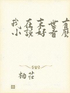 我在末世有套房小说好看么