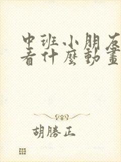 中班小朋友适合看什么动画片