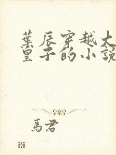 叶辰穿越大夏九皇子的小说