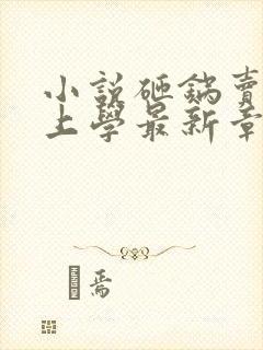 小说砸锅卖铁去上学最新章节列表免费