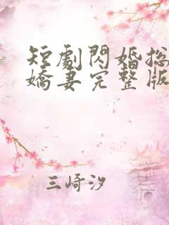 短剧闪婚总裁小娇妻完整版简介