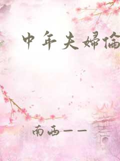 中年夫妇伦理片