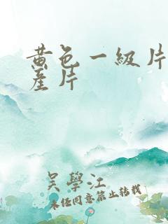 黄色一级片,国产片