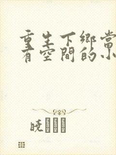 重生下乡当知青有空间的小说