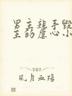 男主亲手毁了女主的虐心小说