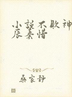 小说不败神婿杨辰秦惜