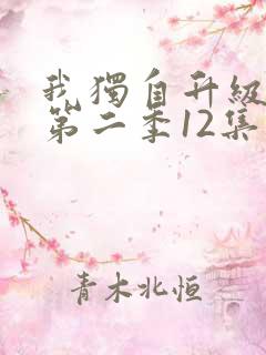 我独自升级动漫第二季12集