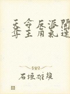 天命反派开局掠夺主角气运