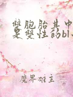 双胞胎其中一个是双性的bl小说