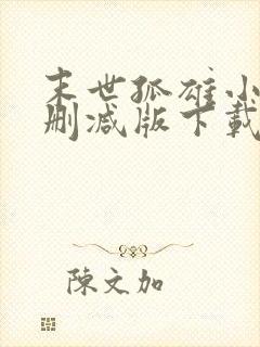 末世孤雄小说无删减版下载