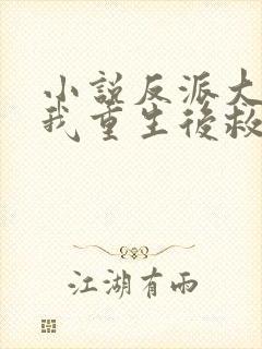 小说反派大佬让我重生后救他