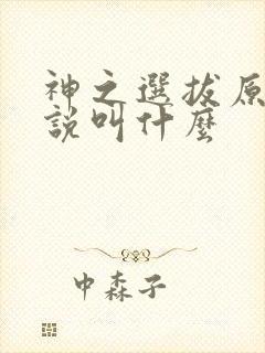 神之选拔原著小说叫什么