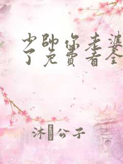 少帅你老婆又跑了免费看全文