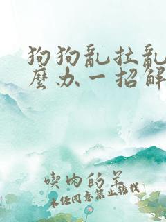 狗狗乱拉乱尿怎么办一招解决