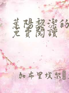 叶阳黎洁的小说免费阅读