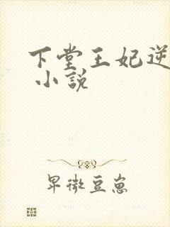 下堂王妃逆袭记 小说