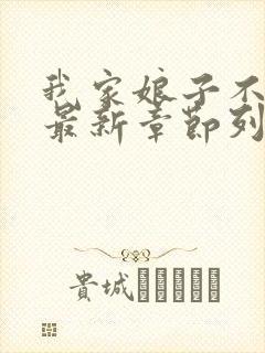 我家娘子不对劲最新章节列表