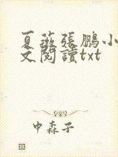 夏薇张鹏小说全文阅读txt