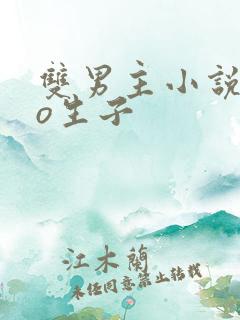 双男主小说abo生子