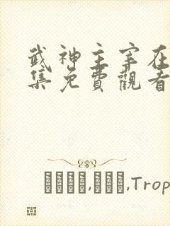 武神主宰在线全集免费观看