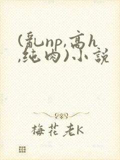 (乱np,高h,纯肉)小说